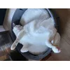 Grote kat van onder 6kg paste er comfortabel in