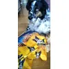 Feliz con su pedido