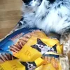 Feliz con su pedido