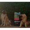 Eukanuba 