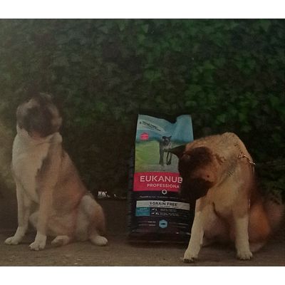 Eukanuba
