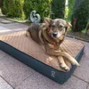 Polli ist zufrieden