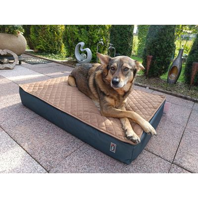 Polli ist zufrieden