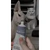 Klopsik ze Stuu kochaja te paste