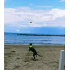 UFO