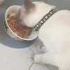 Premium food for precious cats