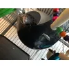A relaxar no Sputnik 