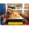 Jai estrenando 