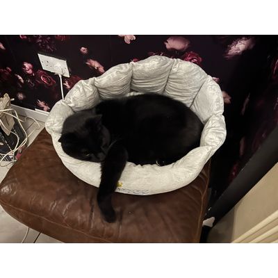 He loves it