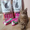 La mia gattina li adora 