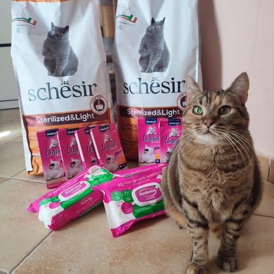 La mia gattina li adora
