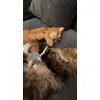 Ozzy i Hera
