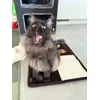 Velcro