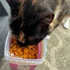 Star loves these