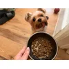He cannot wait 