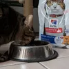 Amore al primo assaggio