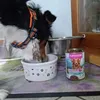 Minimaus und ihr Lieblingsfutter