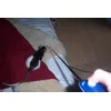 meine ratte pudding und der clicker