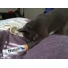 Mika helps himself to his favourite snacks