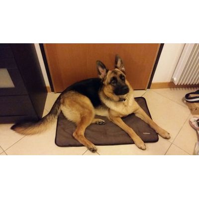 Inizia ad essere piccolo