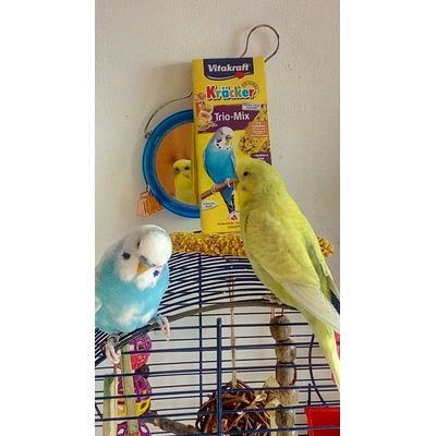 Henry und Bubi beim Naschen