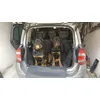 2 rotties going for a trip