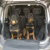 2 rotties going for a trip