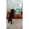 Gnaaaam deliziose 