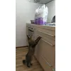 Predvidevam da je nekaj za mene