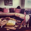 Marvin has taken delivery 