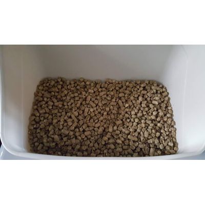 Granule