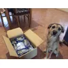 Andyno Carico di biscotti 