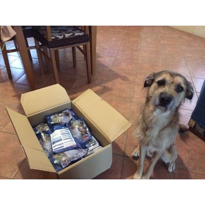 Andyno Carico di biscotti