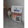 GONZALO Y SU COMIDA QUE LE GUSTA MUCHO