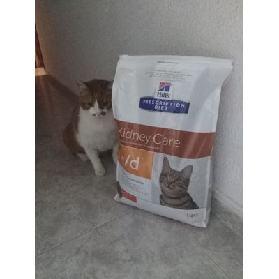 GONZALO Y SU COMIDA QUE LE GUSTA MUCHO