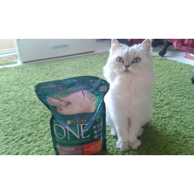 Lenke