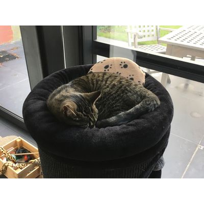 een lekker warme rug door het warmtekussen