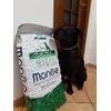Ice - cane corso di 10 mesi