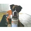 Zeus and his secret for wellness