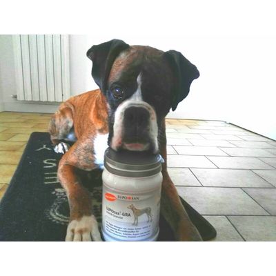Zeus and his secret for wellness