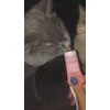 Smakuje 