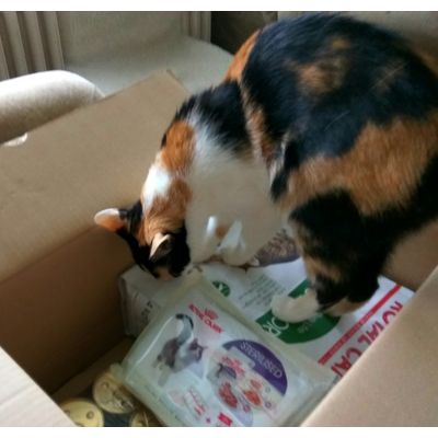 Puszika csomagja