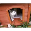 Nog een hokje voor de kat