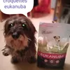Donald adore les croquettes eukanuba