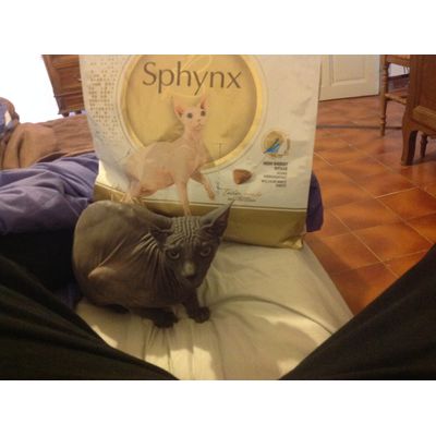 Lucky va se regaler