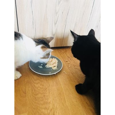 Ils adorent