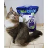 Meine Katze Mika