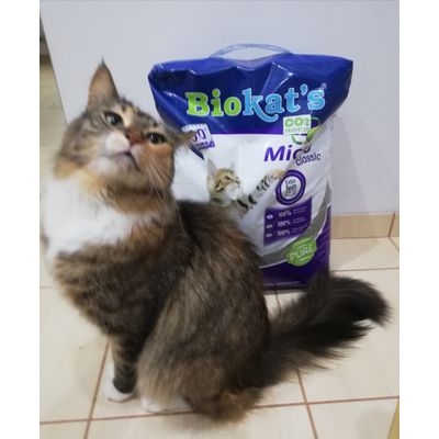 Meine Katze Mika