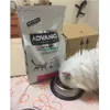 Noah y Advance Urinary Sterilized