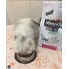 Jazz y Advance Urinary 